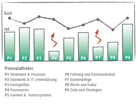 i-Volution Projektmanagement Reifegrad