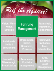 9 Felder, die den agilen Reifegrad zeigen