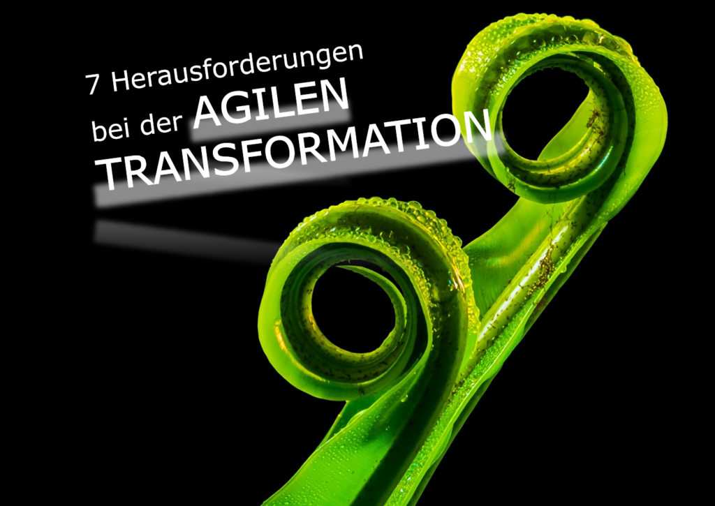 7 Herausforderungen bei der agilen Transformation