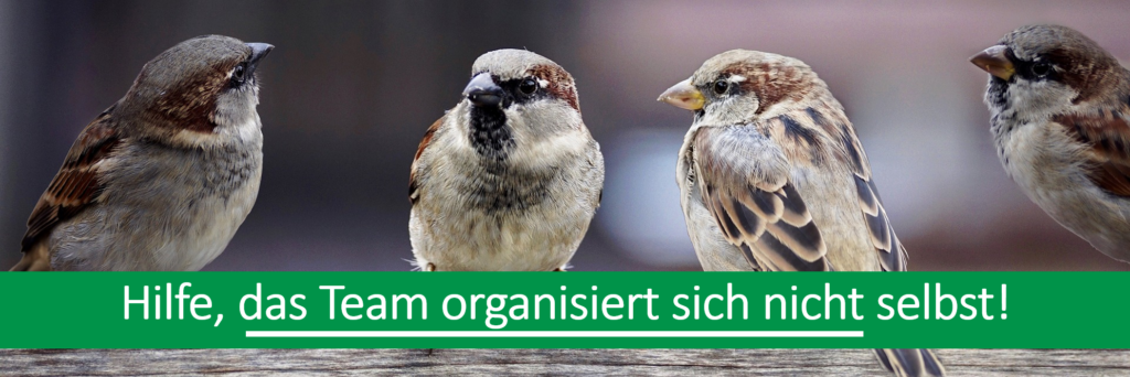 Vögel als Synonym für Team