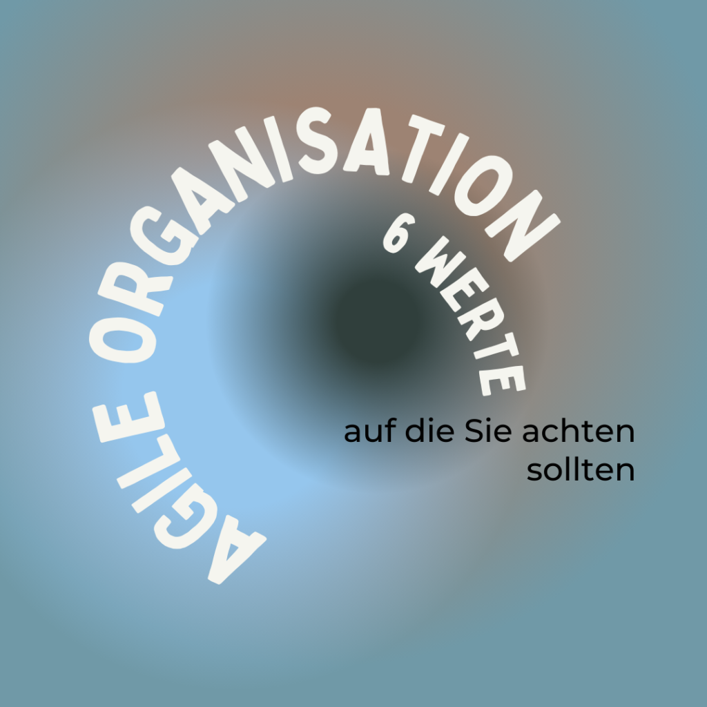 Auge mit Text: Agile Organisation, 6 Werte auf die Sie achten sollten
