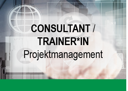 Consultant / Trainer Projektmanagement