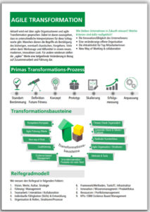 Agile Transformation, Produktblatt