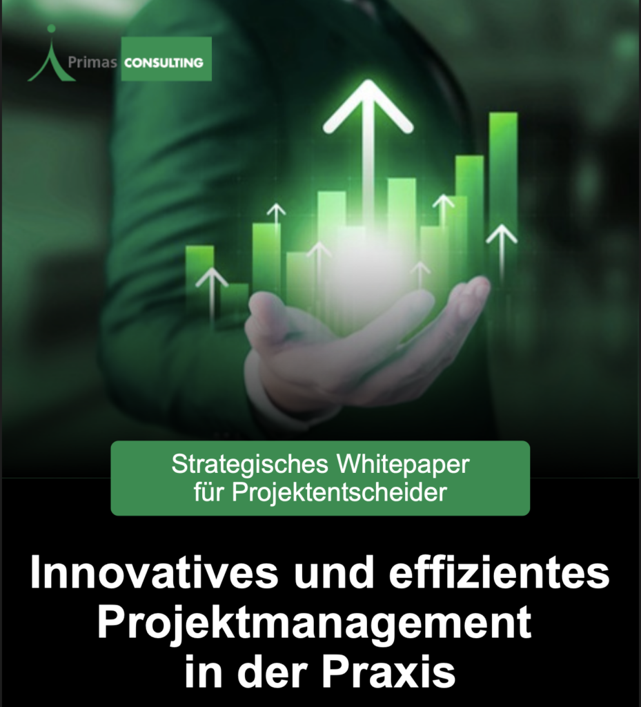 Cover Strategisches Whitepaper für Projektentscheider